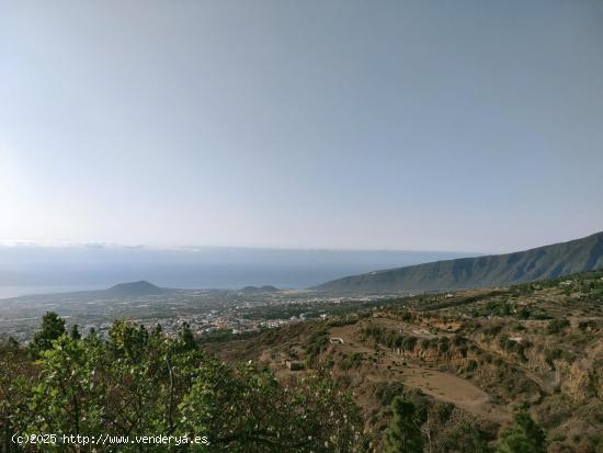 FINCA RUSTICA EN SIETE LOMAS (ARAFO) - SANTA CRUZ DE TENERIFE