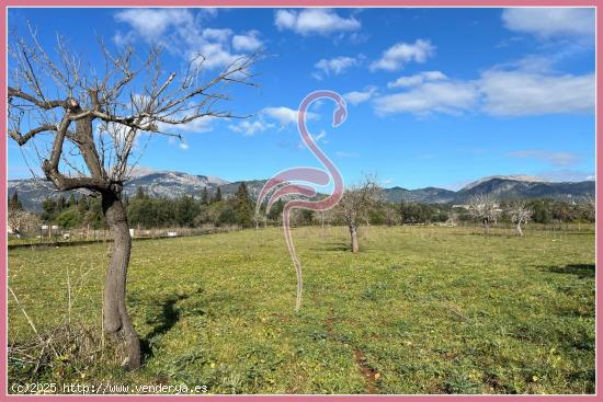 🏡 Terreno Rústico en Selva con Licencia y Proyecto 🌿 Vistas 360º a la Tramuntana - BALEARES