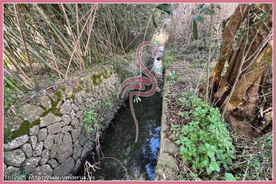 🏡 Terreno Rústico en Selva con Licencia y Proyecto 🌿 Vistas 360º a la Tramuntana - BALEARES