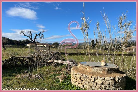 🏡 Terreno Rústico en Selva con Licencia y Proyecto 🌿 Vistas 360º a la Tramuntana - BALEARES