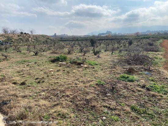  terreno de secano en montaverner - VALENCIA 