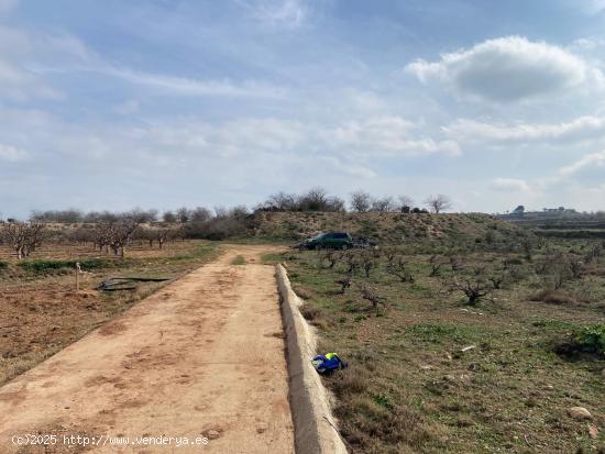 terreno de secano en montaverner - VALENCIA