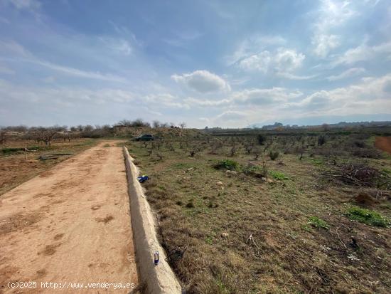 terreno de secano en montaverner - VALENCIA