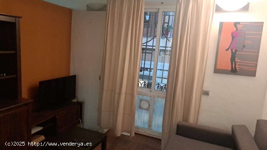 Amplio apartamento junto a la Plaza de la Virgen - Valencia