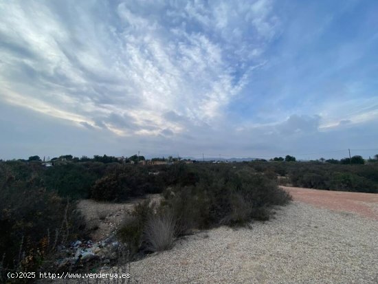 Amplia Parcela en Elche - Zona Matola con Vistas Despejadas