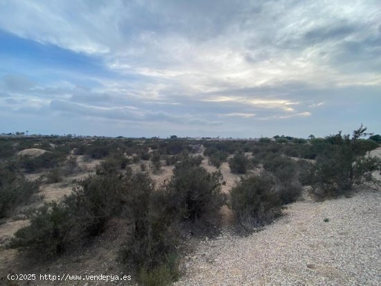 Amplia Parcela en Elche - Zona Matola con Vistas Despejadas