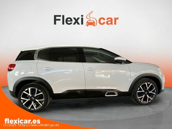 Citroën C5 Aircross BlueHdi 96kW (130CV) S&S EAT8 Feel - Murcia