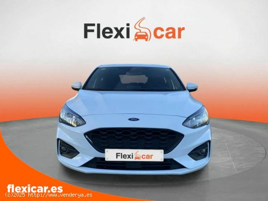 Ford Focus 1.0 Ecoboost MHEV 92kW ST-Line - Vic