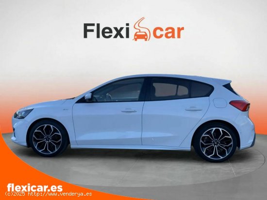 Ford Focus 1.0 Ecoboost MHEV 92kW ST-Line - Vic