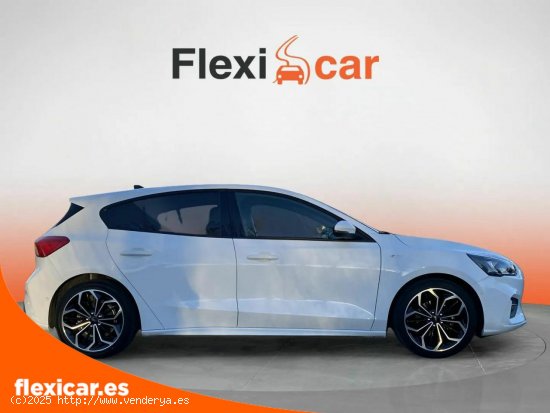 Ford Focus 1.0 Ecoboost MHEV 92kW ST-Line - Vic