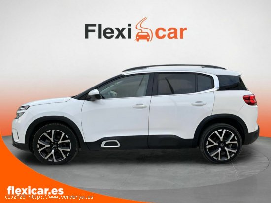 Citroën C5 Aircross BlueHdi 96kW (130CV) S&S Feel - Murcia