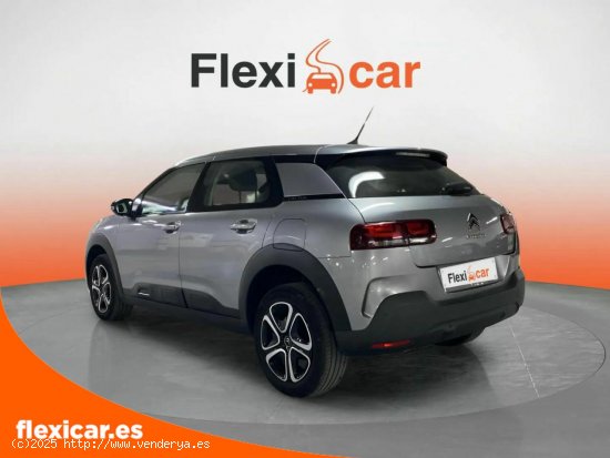 Citroën C4 Cactus PureTech 110 S&S Feel - Alicante