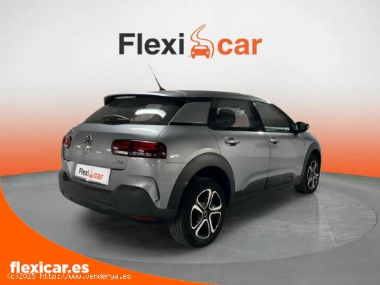 Citroën C4 Cactus PureTech 110 S&S Feel - Alicante