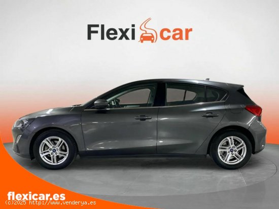 Ford Focus 1.0 Ecoboost 92kW Trend+ Auto - Alicante