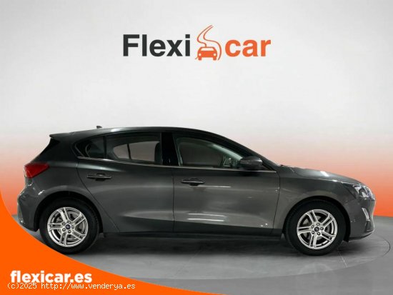 Ford Focus 1.0 Ecoboost 92kW Trend+ Auto - Alicante