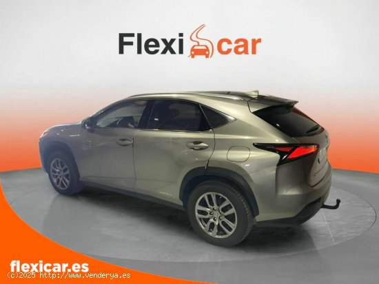 Lexus NX 2.5 300h Business 2WD - Figueres