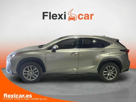 Lexus NX 2.5 300h Business 2WD - Figueres