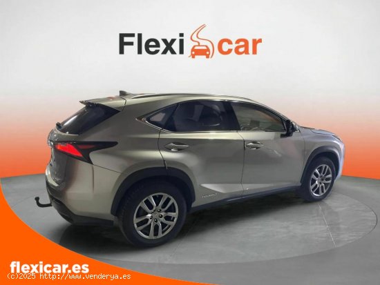 Lexus NX 2.5 300h Business 2WD - Figueres