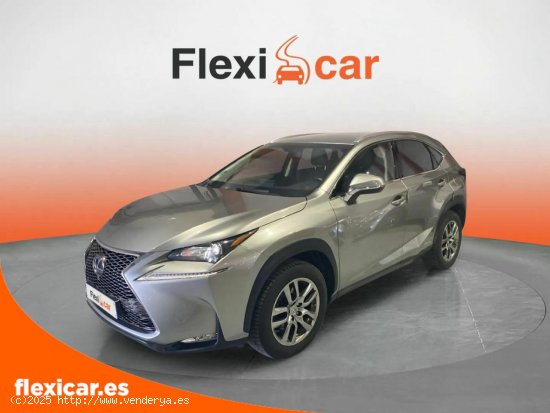 Lexus NX 2.5 300h Business 2WD - Figueres