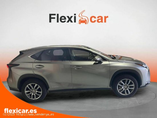 Lexus NX 2.5 300h Business 2WD - Figueres