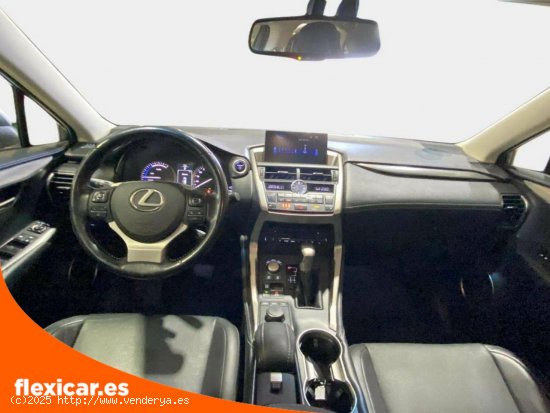 Lexus NX 2.5 300h Business 2WD - Figueres