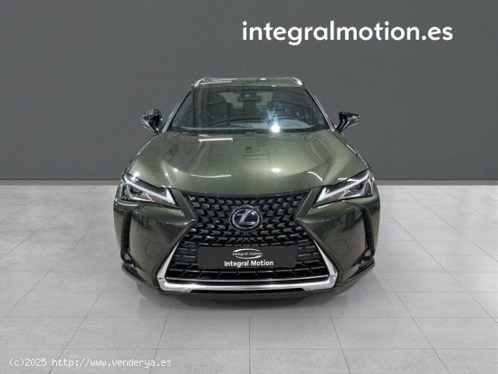 Lexus UX 2.0 250h Business - Santiago de Compostela