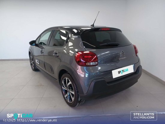 Citroën C3  BlueHDi 75KW (100CV) S&S Shine - Zaragoza