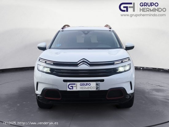 Citroën C5 Aircross FEEL BLUE HDI 130 CV - Ponteareas