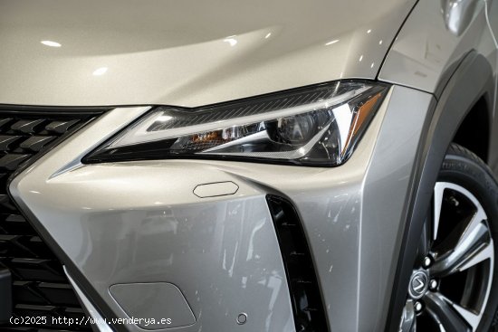 Lexus UX 250H EXECUTIVE LEXUS UX en Galicia: A Coruña, Santiago, Lugo y Pontevedra. - A Coruña