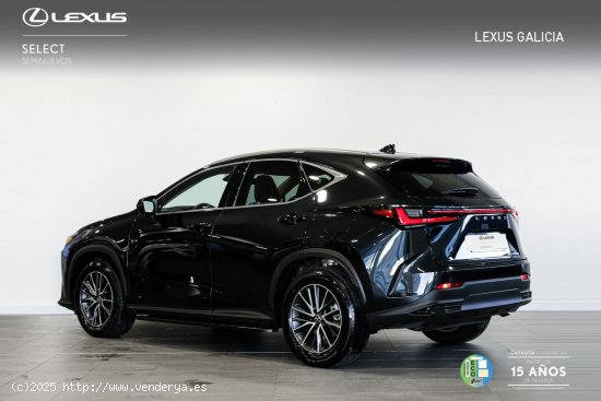 Lexus NX 450H+ Executive Lexus NX en Galicia: A Coruña, Santiago, Lugo y Pontevedra. - A Coruña