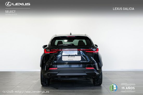 Lexus NX 450H+ Executive Lexus NX en Galicia: A Coruña, Santiago, Lugo y Pontevedra. - A Coruña