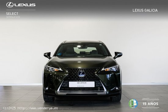 Lexus UX 250H 2WD Premium Lexus UX en Galicia: A Coruña, Santiago, Lugo y Pontevedra. - A Coruña