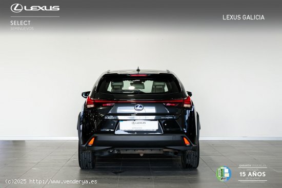 Lexus UX 250H 2WD Premium Lexus UX en Galicia: A Coruña, Santiago, Lugo y Pontevedra. - A Coruña