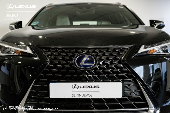 Lexus UX 250H 2WD Premium Lexus UX en Galicia: A Coruña, Santiago, Lugo y Pontevedra. - A Coruña