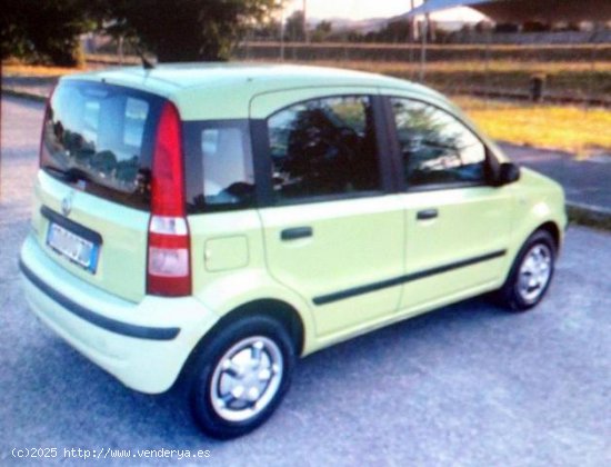 FIAT Panda en venta en Torres de Cotillas (Murcia) - Torres de Cotillas