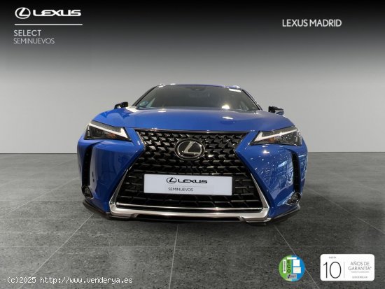 Lexus UX 2.0 250h Premium - Madrid