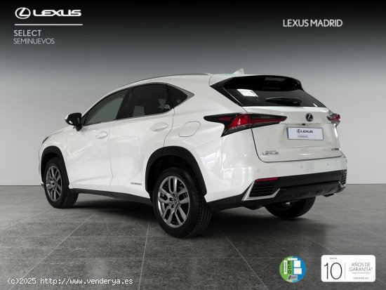 Lexus NX 2.5 300h Executive Navigation 4WD - Madrid