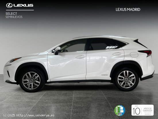 Lexus NX 2.5 300h Executive Navigation 4WD - Madrid