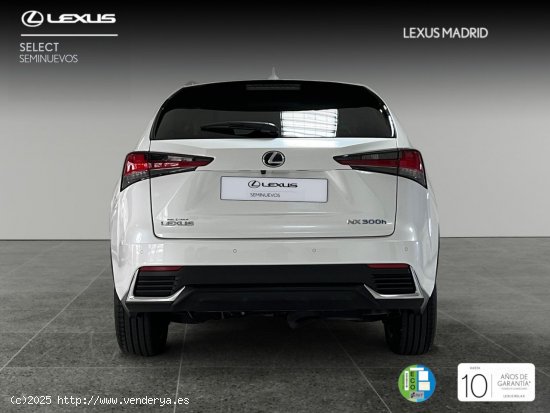 Lexus NX 2.5 300h Executive Navigation 4WD - Madrid