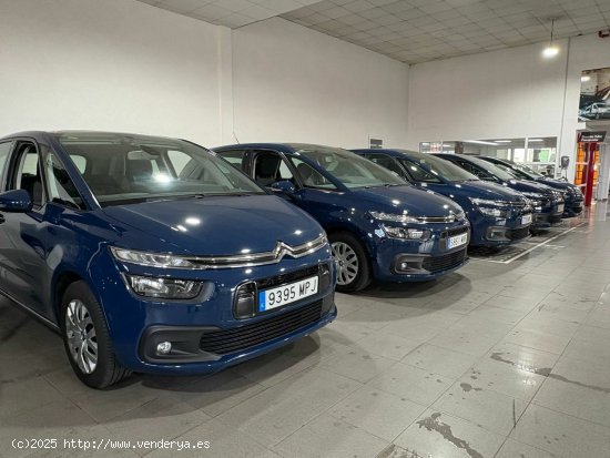 Citroën C4 Picasso  BlueHDi EAT6 Feel hdi - Lugo