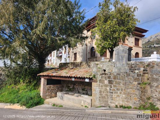 Se vende gran propiedad para rehabilitar en Abandames, Peñamellera Baja - ASTURIAS