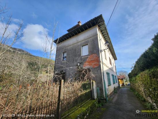 Se vende gran propiedad para rehabilitar en Abandames, Peñamellera Baja - ASTURIAS