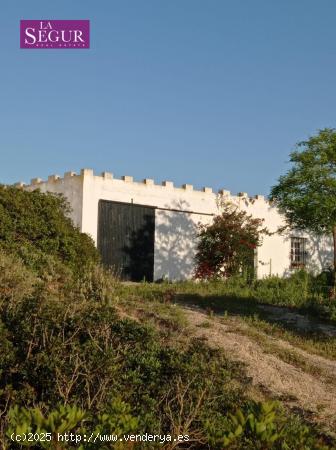 FINCA RÚSTICA CON NAVE DIÁFANA - CADIZ