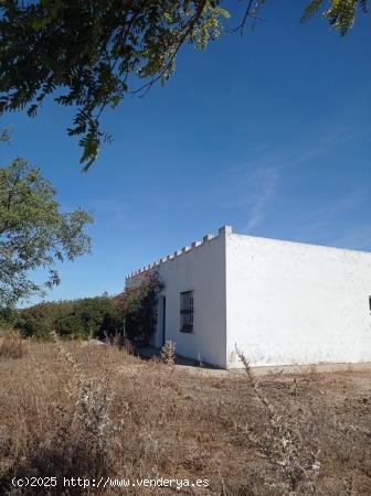 FINCA RÚSTICA CON NAVE DIÁFANA - CADIZ