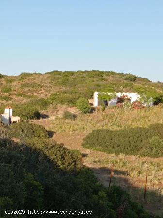 FINCA RÚSTICA CON NAVE DIÁFANA - CADIZ