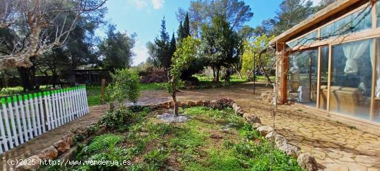 Finca rústica con piscina y licencia turística en Sencelles – naturaleza, confort y rentabilidad