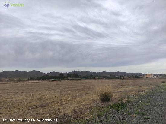 Parcela en Purias - MURCIA