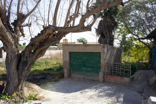 Terreno en la huerta de Murcia. Entre Zarandona y El Cabezo de Torres - MURCIA