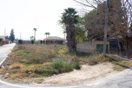 Terreno en la huerta de Murcia. Entre Zarandona y El Cabezo de Torres - MURCIA