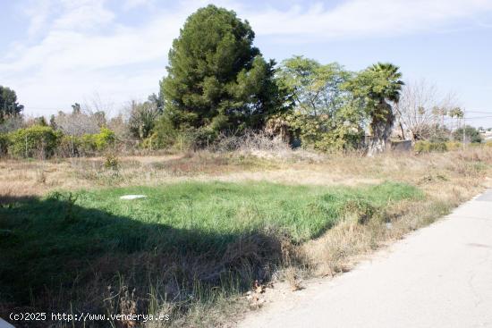 Terreno en la huerta de Murcia. Entre Zarandona y El Cabezo de Torres - MURCIA